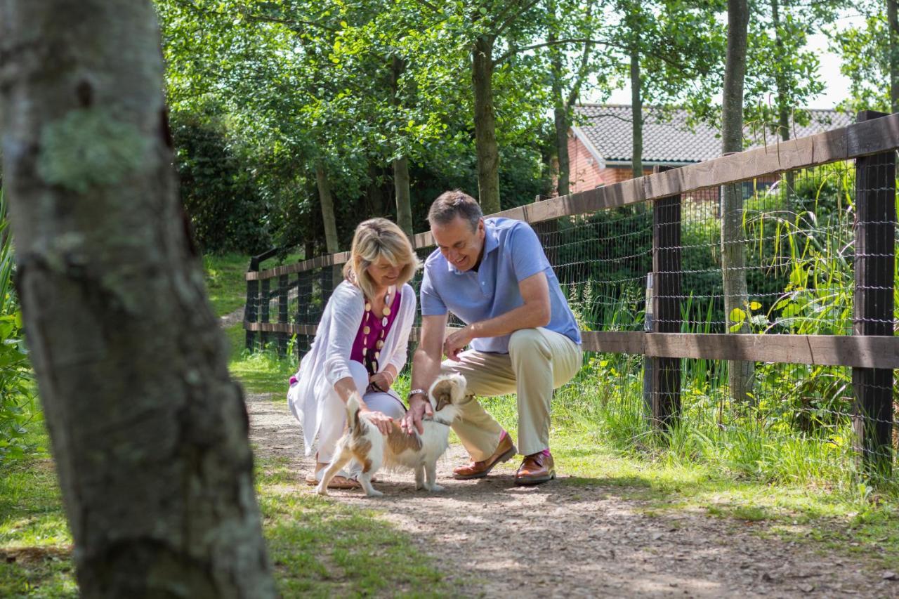 The Lakes Rookley Exteriér fotografie Visitors at the park